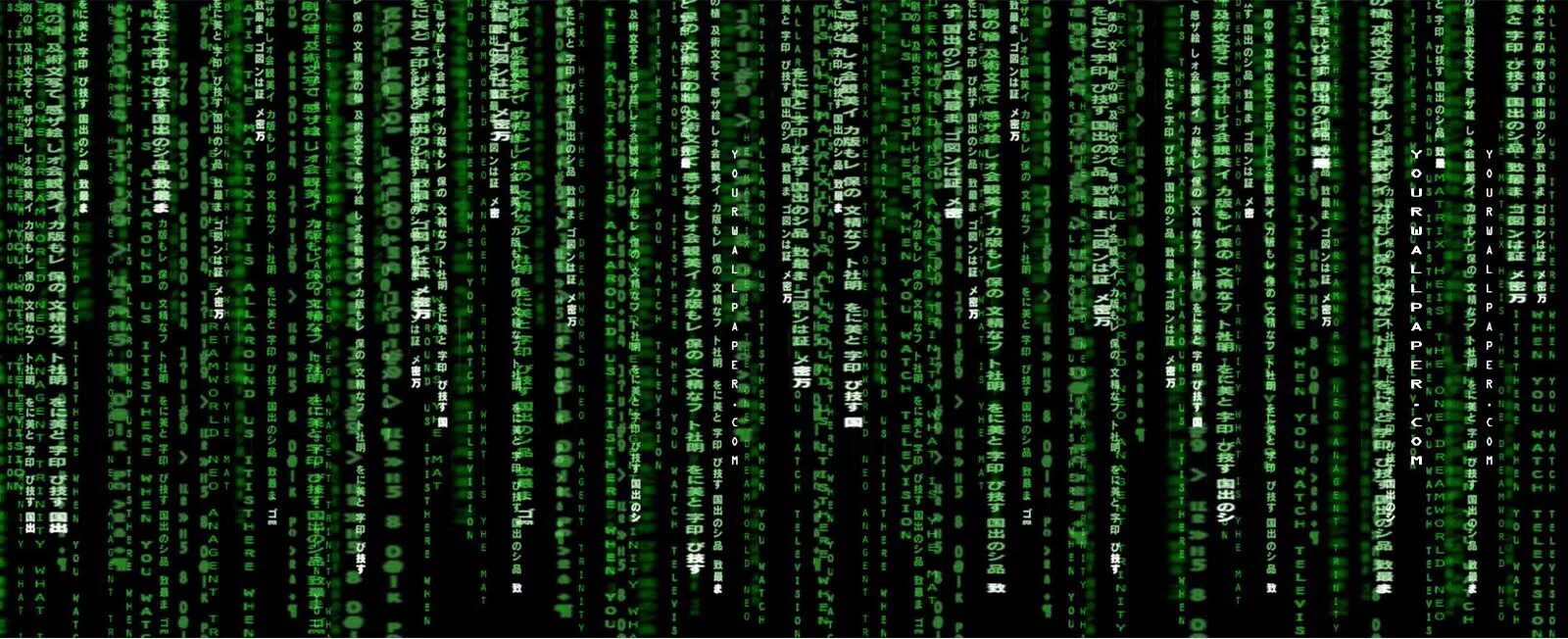 Matrix en. Матрица вирус. матрица код. мероприятие в стиле матрицы. matrix cmd.