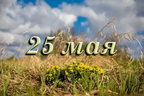 25 дней от даты