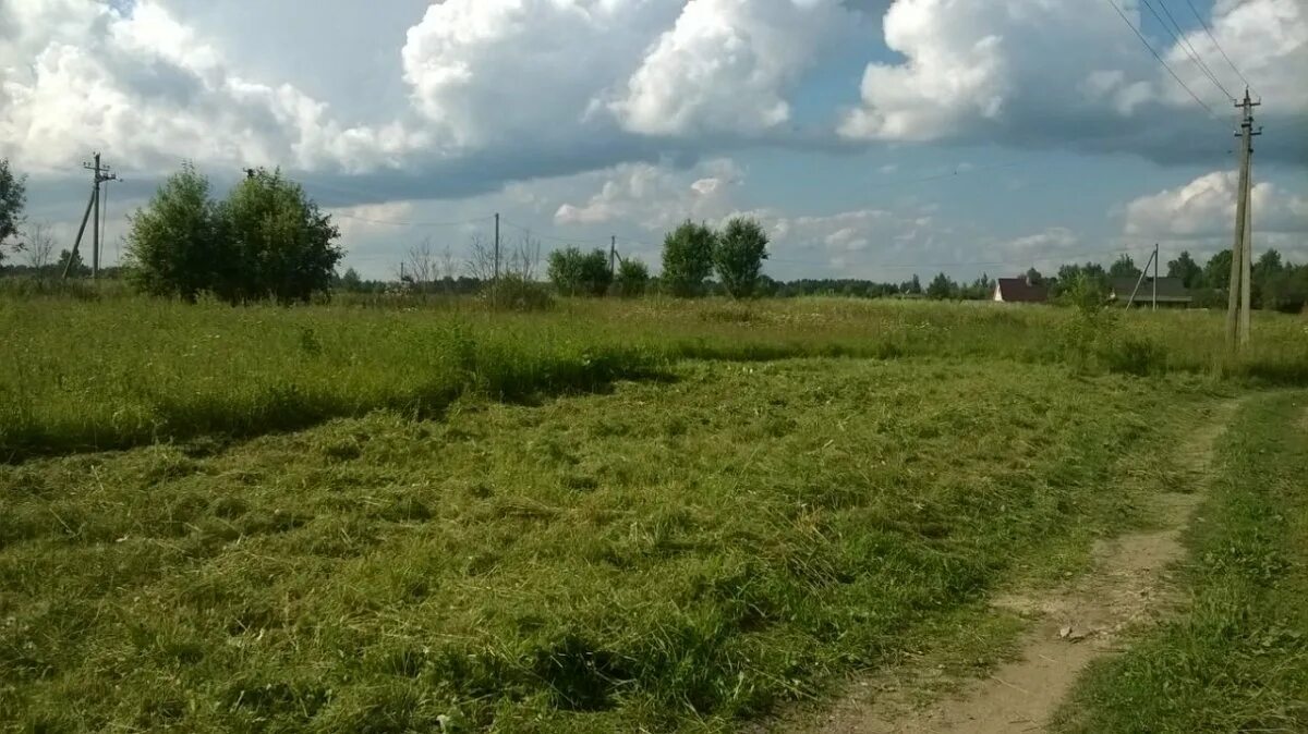 Деревня бор индекс. Сырец деревня лужский.