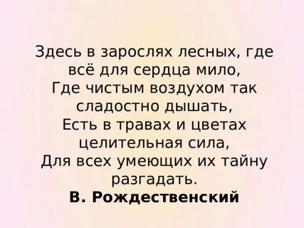 Кто мне откликнулся в чаще лесной