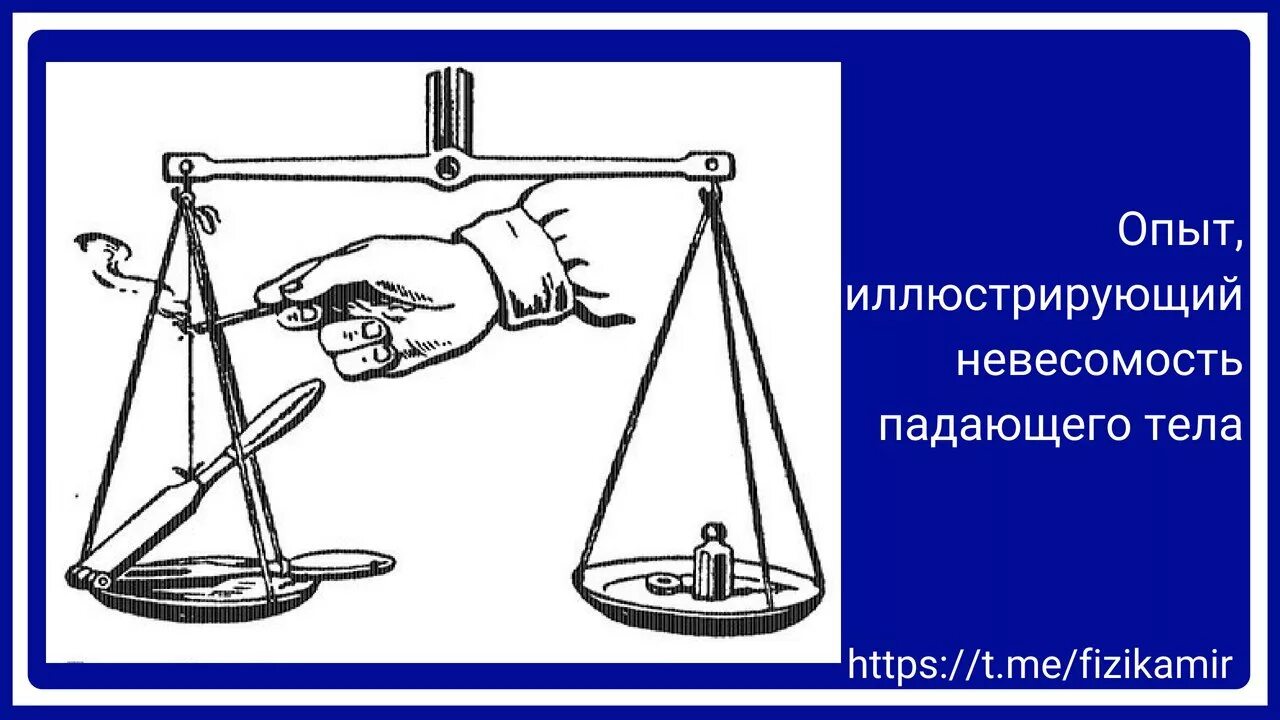 Какое свойство растения иллюстрирует этот опыт. Хемотаксис амебы. Эксперименты в ботанике. Эксперимент строение листьев. Какое свойство организмов иллюстрирует этот опыт.