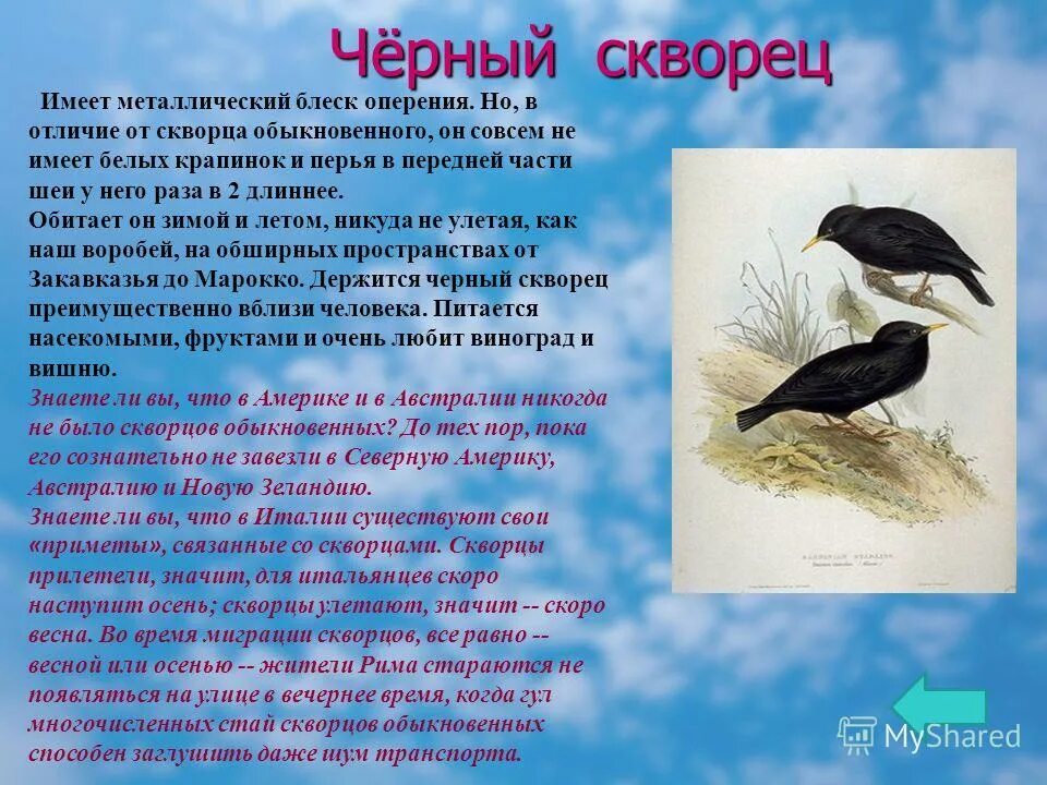 основа слова скворец. формы слова к слову скворец. скворец описание. скворечник однокоренные слова. скворушка проверочное слово.