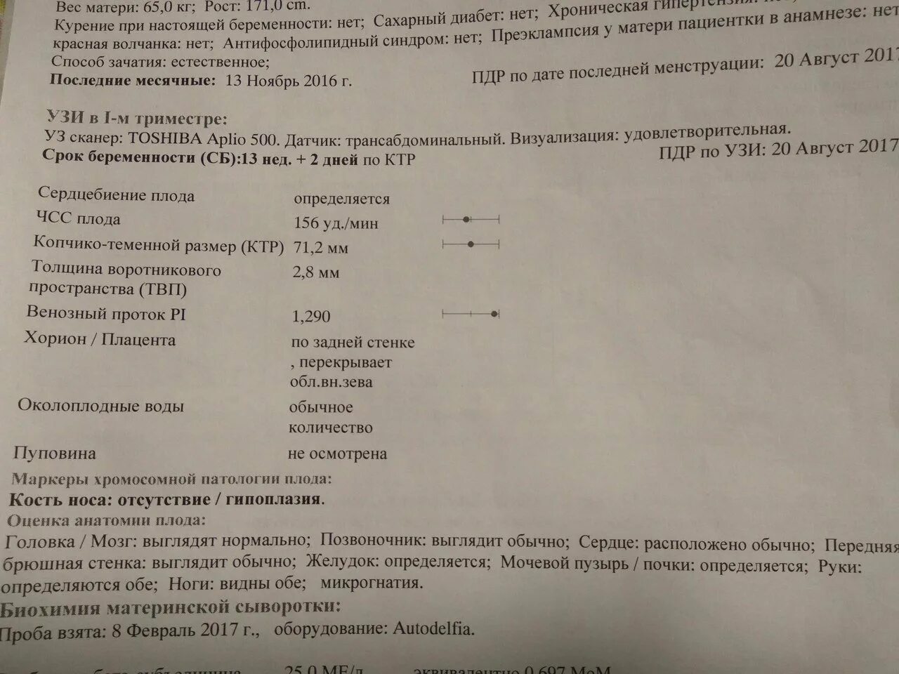 На какой неделе на узи слышно сердцебиение. УЗИ скрининг ТВП. Норма УЗИ плода 1скриненга. УЗИ 1 скрининг. УЗИ 12 недель беременности сердцебиение плода.