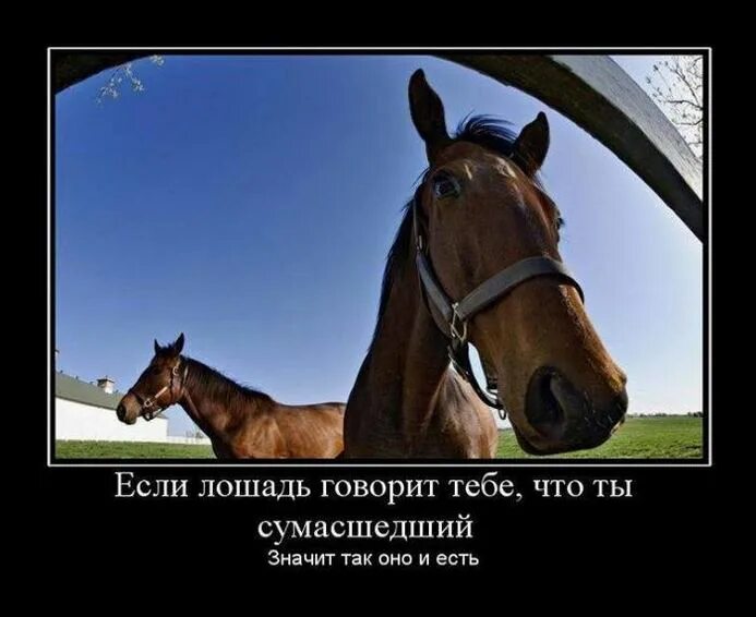 Как писать сумашедший или сумасшедший