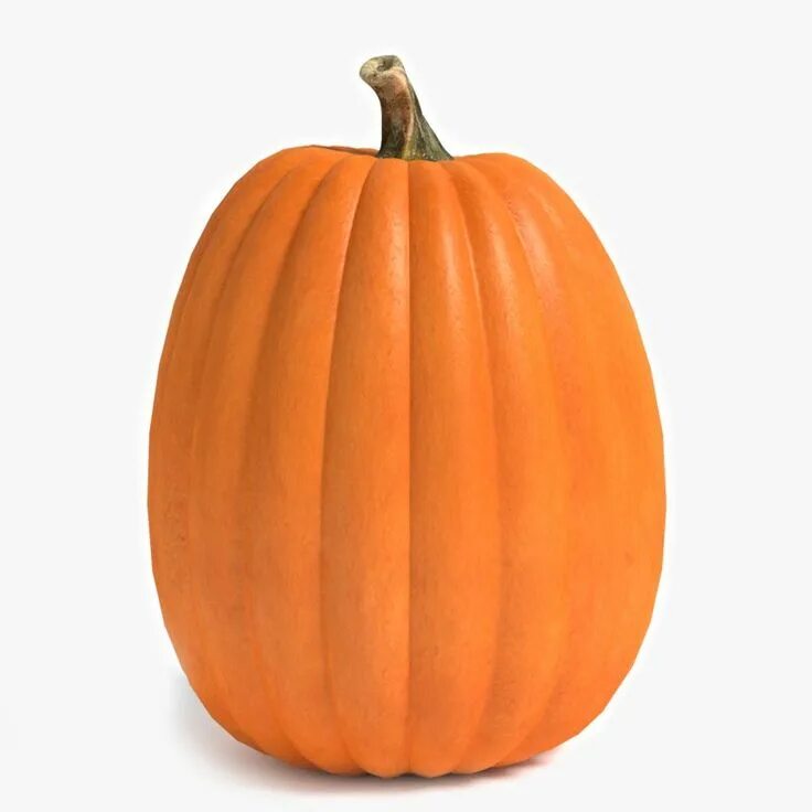 Pumpkin 3d model