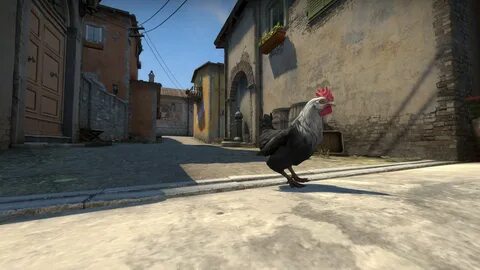 Csgo new