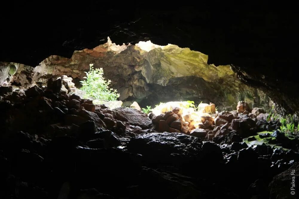 Ане туту. Пещеры острова Пасхи. Пещера Пасха. Остров Пасхи родовые пещеры. Остров Пасхи пещера ана КАИ тангата.