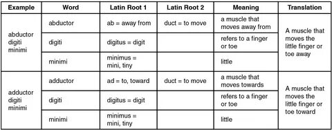 Words that mean перевод