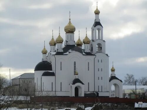 Варсонофьевский монастырь Мордовия. Покров селище монастырь в Мордовии. Зубова Поляна монастырь. Женский монастырь Зубова Поляна. Свято варсонофиевский монастырь мордовия