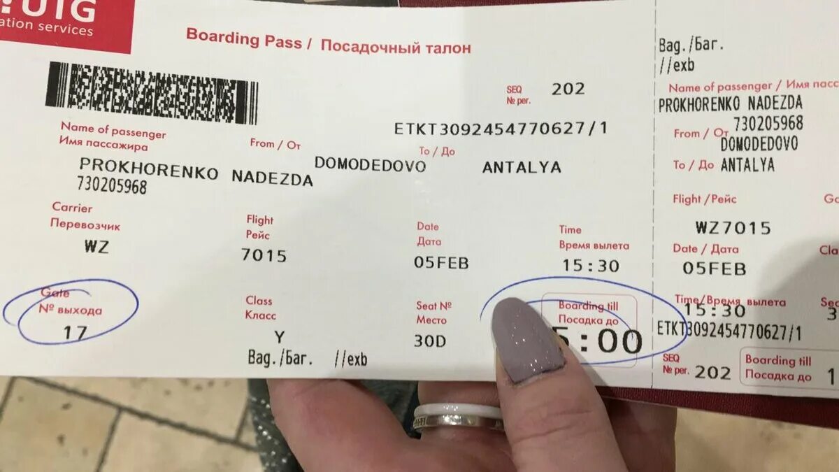 Москва анталия сегодня. Билет Red Wings. Посадочный талон ред Вингс. Билеты в Анталию. Red Wings Москва Анталья.