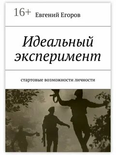 Идеальный опыт