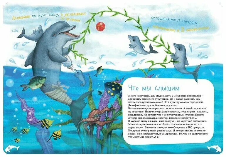 дельфин прикол. барто если б я была дельфином. индийский океан дельфин. если б море было пивом я б дельфином стал. дельфины очень умные.