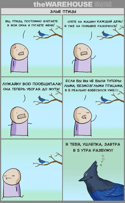 Комиксы про птиц. Птица перевод. Тэкэрлек птица перевод. Музыка верховского стихи перевод маршака на далёкой амазонке. Разные птицы с названиями.