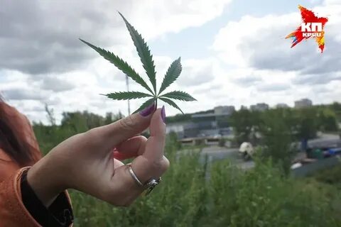 Чуйская долина песни