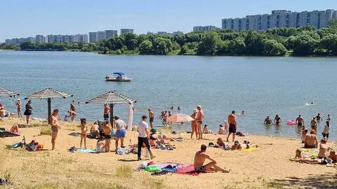 Лето в подмосковье 2024