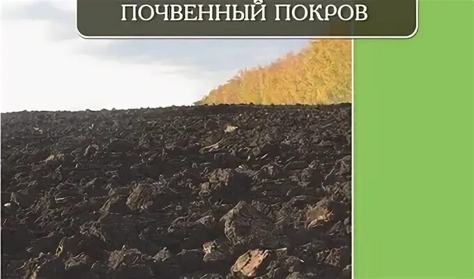 Земельные ресурсы доклад. Нарушение почвенного покрова. Строение почвенного покрова. Структура почвенного покрова. Земельные ресурсы и почвенный покров.