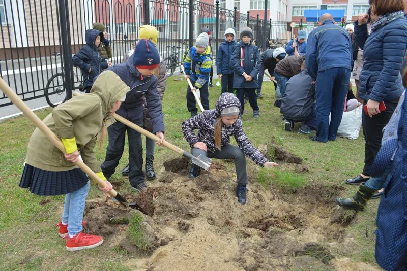 Высадка деревьев акция. Экологическая акция посадка деревьев. Акция посади дерево. Высадка деревьев у школы. Акция посади дерево в школе.