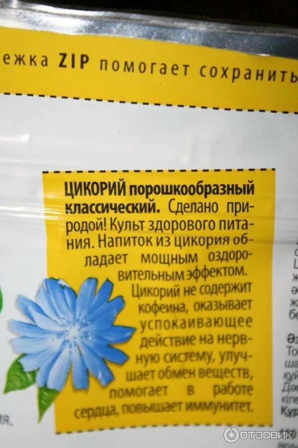 Сколько раз пить цикорий в день. Цикорий. Цикорий порошок. Цикорий обыкновенный порошок. Лечебные качества цикория.