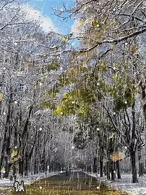 Ноябрь в моем городе