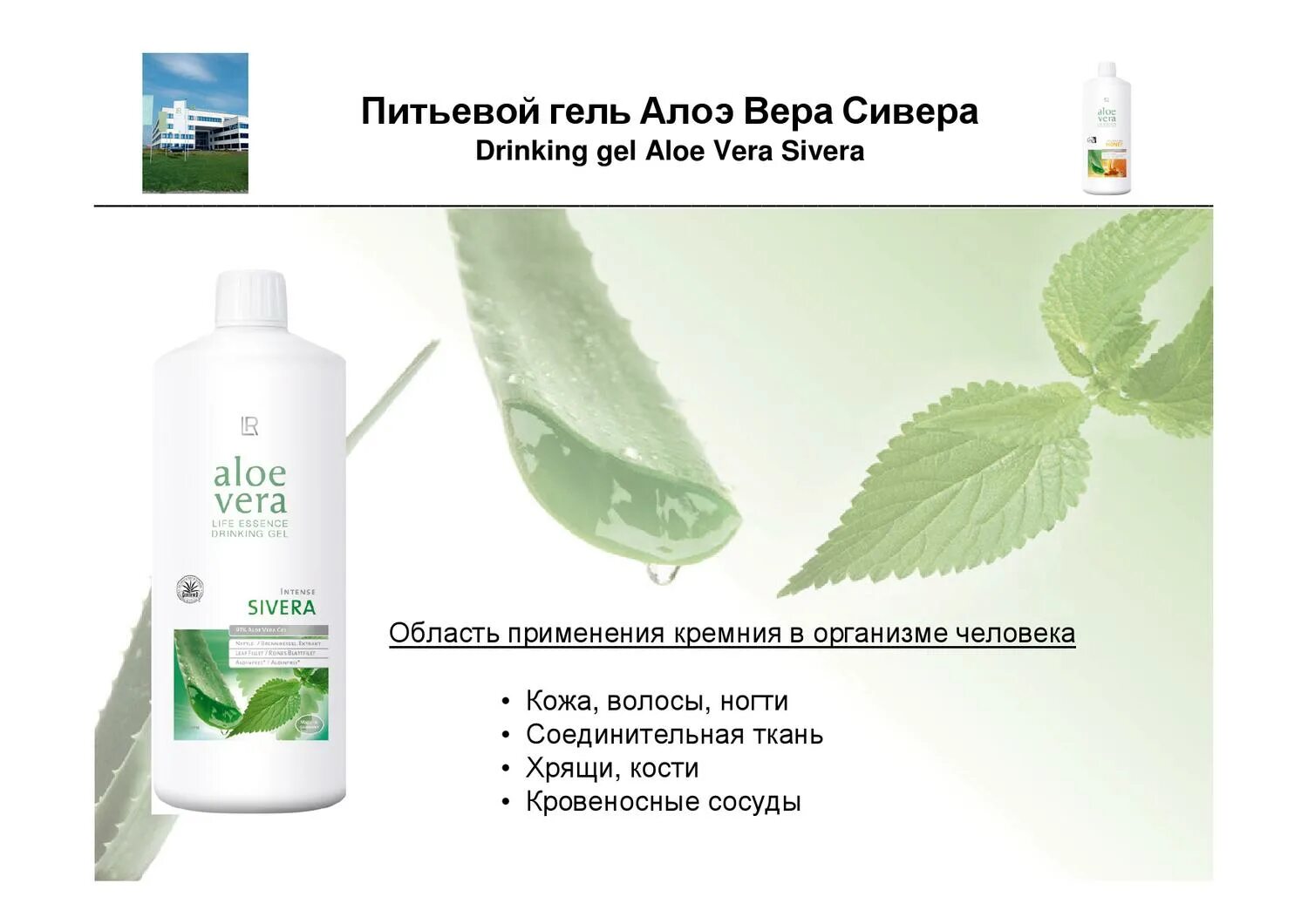 Aloe vera применение