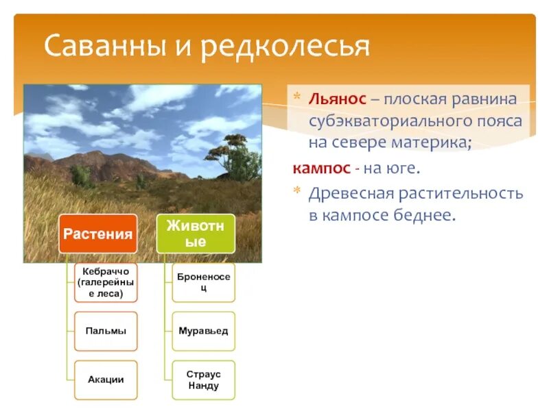 Саванны Льянос Кампос растительность. Саванны и редколесья климат. Саванны редколесья и кустарники климат. Растения в Редколесье. Климат редколесья южной америки