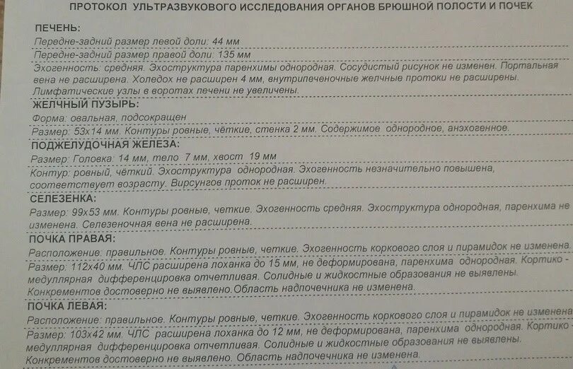 Нормы органов брюшной полости. УЗИ почек протокол УЗИ. Протокол УЗИ органов брюшной полости и почек. УЗИ органов брюшной полости протокол норма. Протокол УЗИ органов брюшной полости и почек образец.