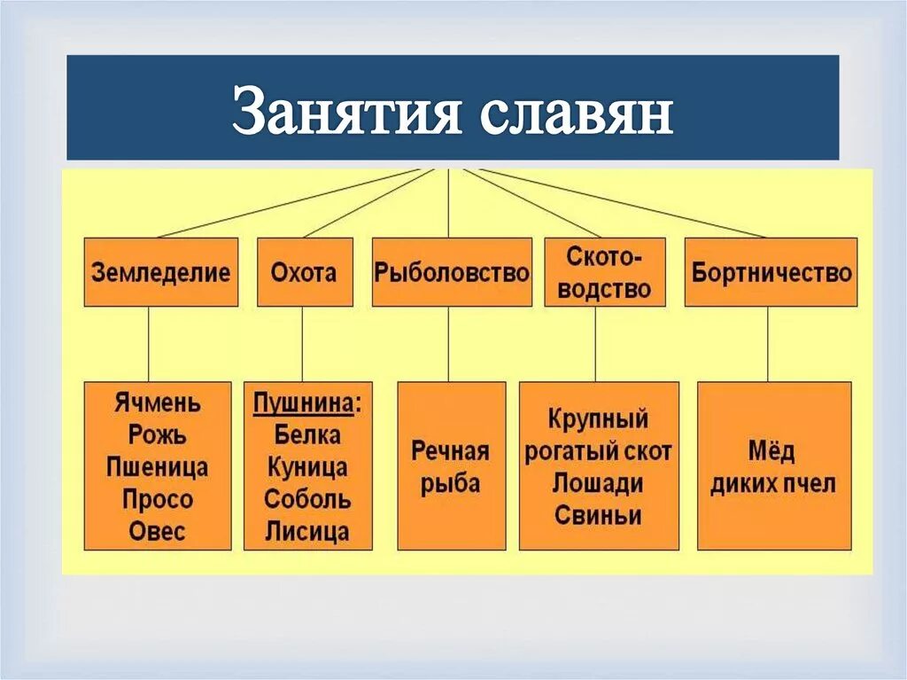 Восточные славяне виды. Занятия восточных славян. Занятия восточных Славя. Занятия славян кратко. Занятия восточных славян кратко.