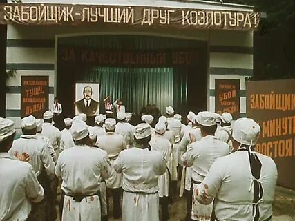 Созвездие козлотура читать