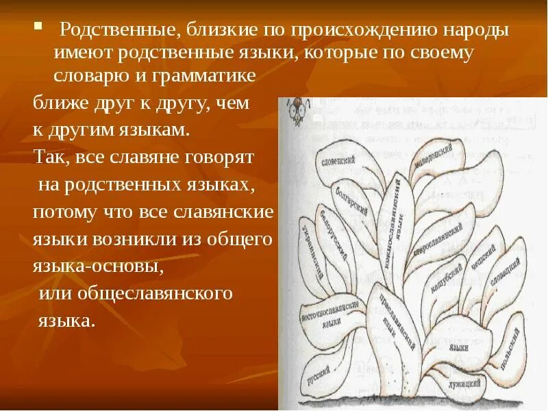 Теории возникновения человека. Теория происхождения человека 3 теории. Человек близкий по происхождению. Человек близкий по происхождению. Психологической утраты это.