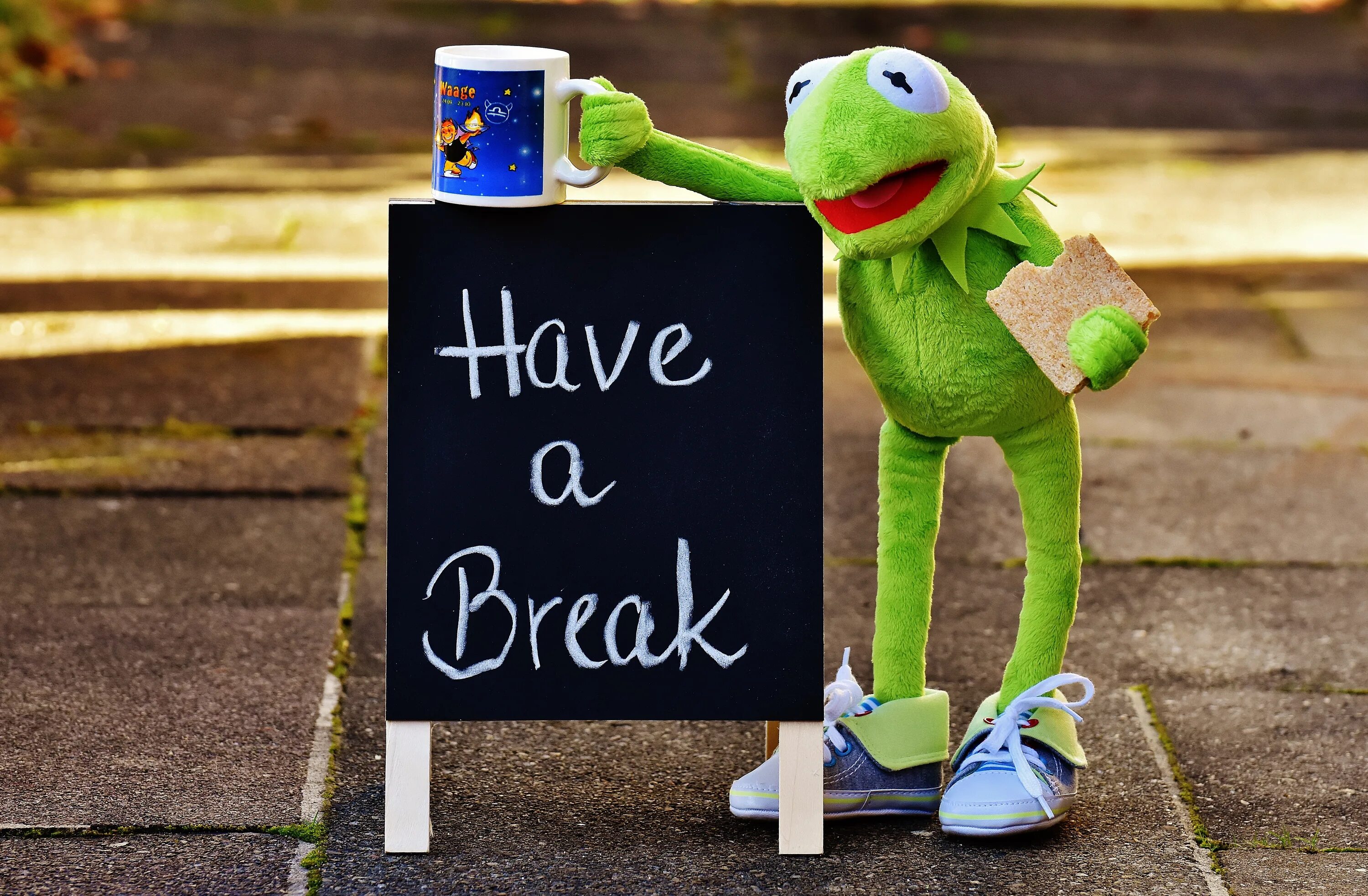 I have a break now. Have a break. кермит. кермит кофе. кермит с кружкой.
