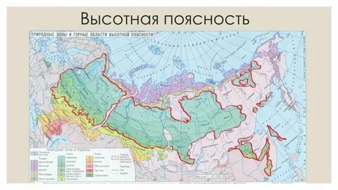 Занимаемая территория смешанных лесов