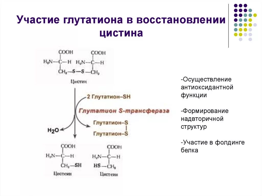 Ацетил глутатион для чего. Ацетил глутатион для чего