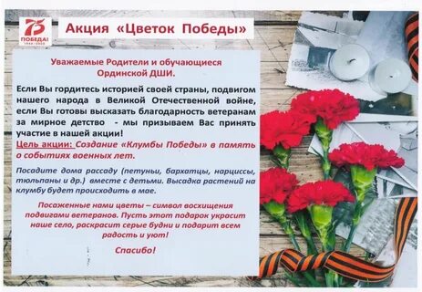 Отчет акции ко дню победы