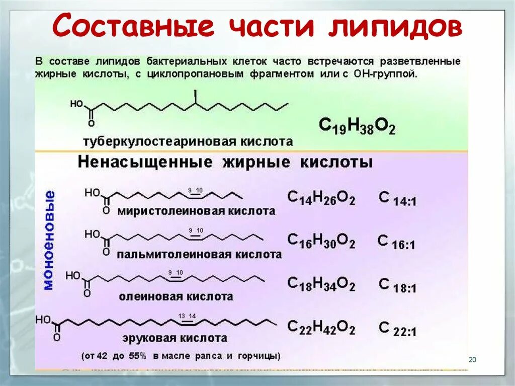Составных компонентов полимеров. Составных компонентов полимеров