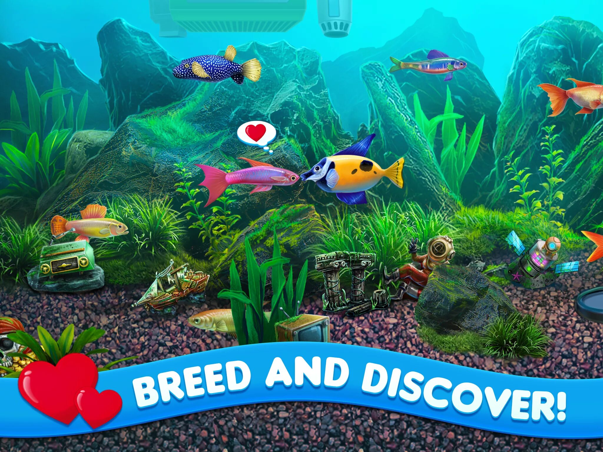 Поиграем в игру аквариум. Игра аквариум. симулятор аквариума. fish игра аквариум. симулятор аквариума для пк.