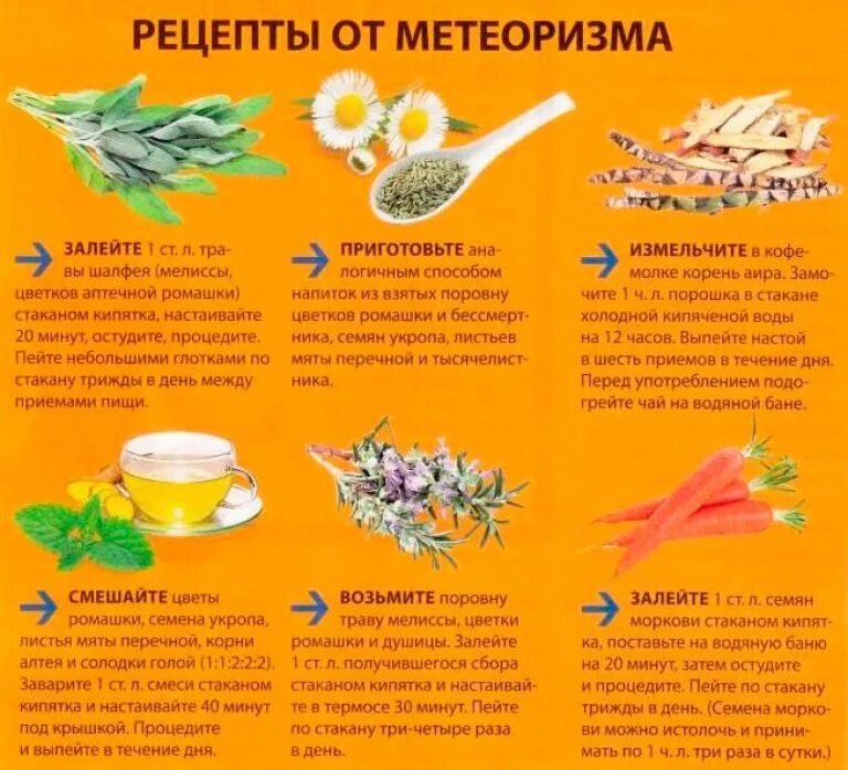 Что пить при метеоризме