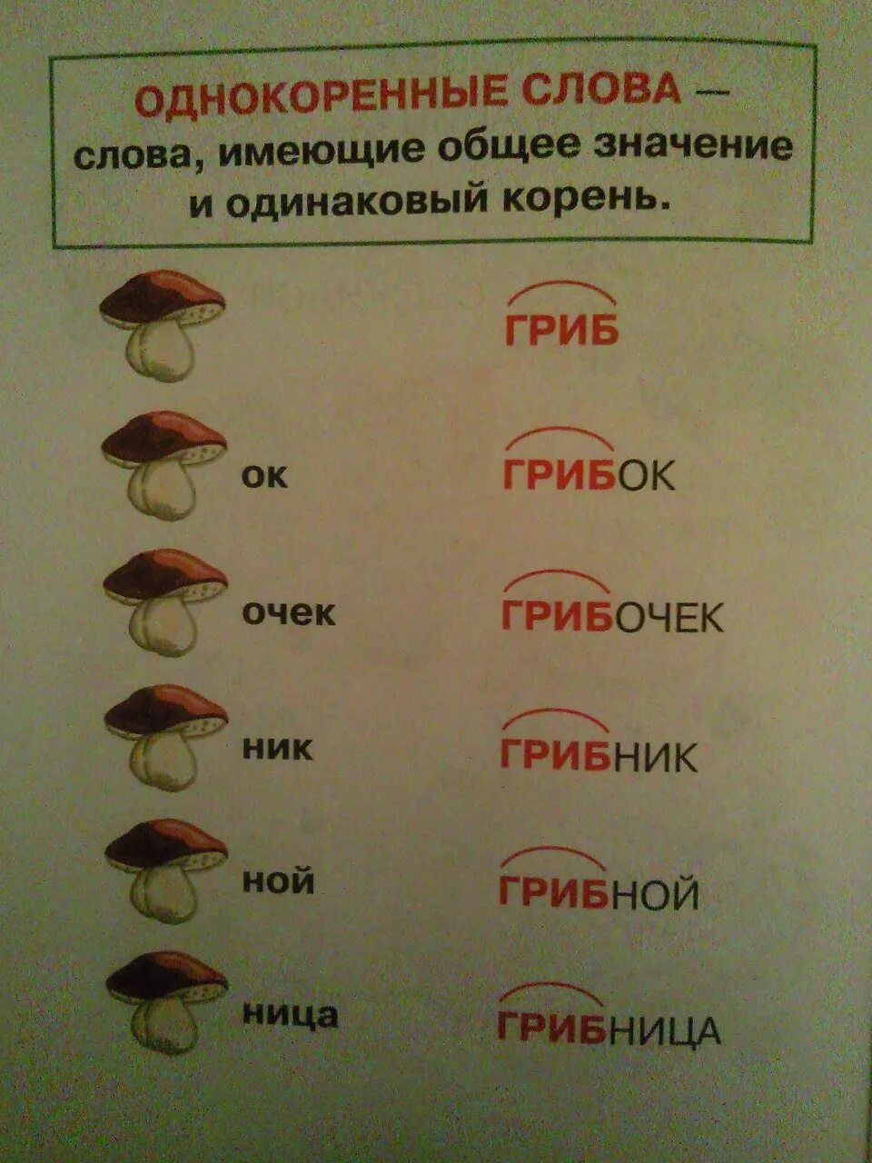 Гриб однокоренные слова. Однокоренные слова к слову гриб. Однокоренные слова к слову СГРИБ. Однокоренныеслова к сдову гриб.