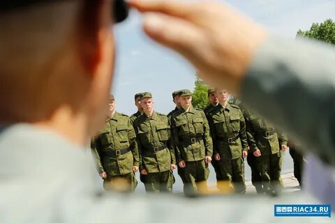 Призывники волгоград