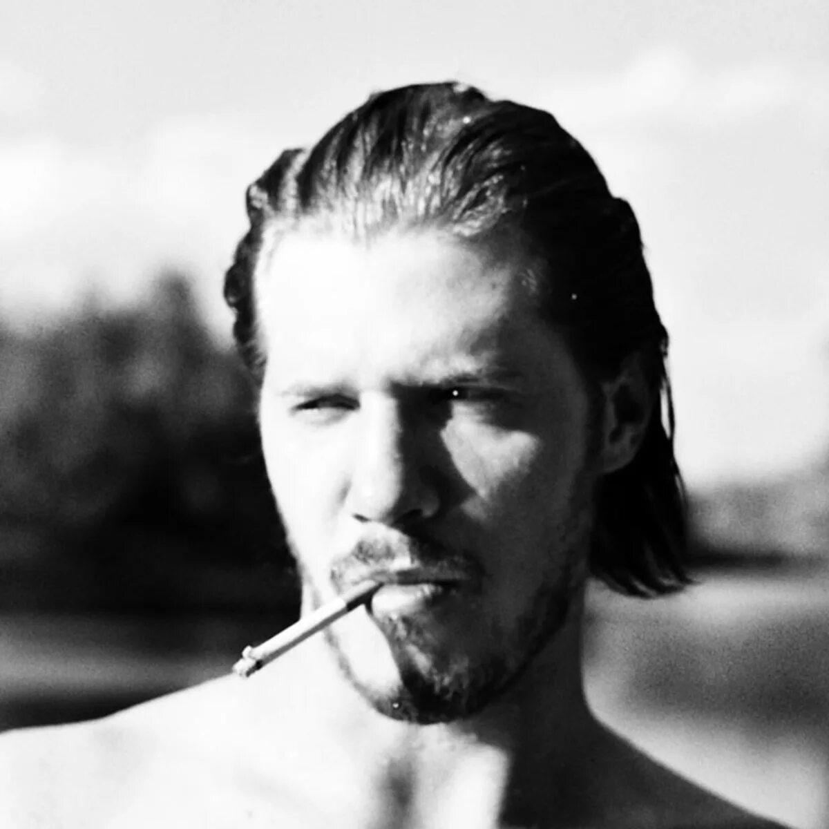 Тихий куст саратов. Плакучая ива дерево. Тихий куст. Сирень в саду. Живая изгородь из сирени обыкновенной.