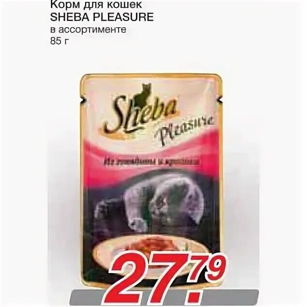 Метро корм для кошек. Шеба. Sheba pleasure для кошек для. Корм для кошек Ижевск. Шеба корм для кошек состав.