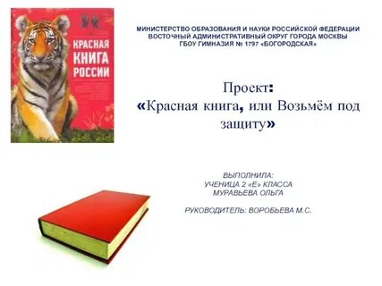 Защита проекта красная книга