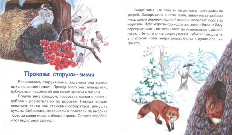 Рассказы старухи зимы. Ушинский к.д. &quot;проказы старухи-зимы&quot;. проказы матушки зимы ушинский. проказы старухи зимы ушинский книга. ушинский проказы старухи зимой.