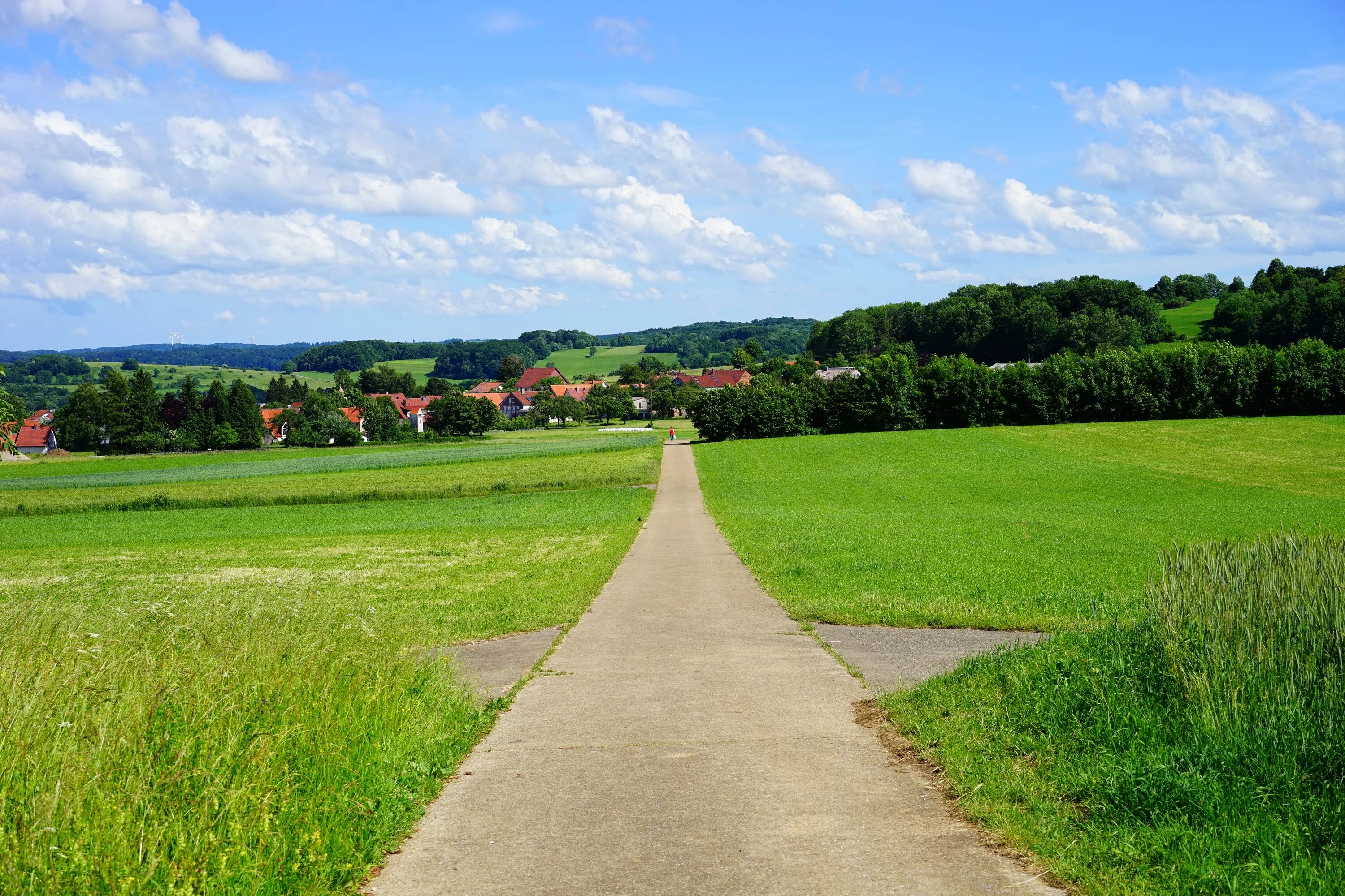 Дорога в деревне. Поле ферма. Лужайка в деревне. Фото местности. Farm road