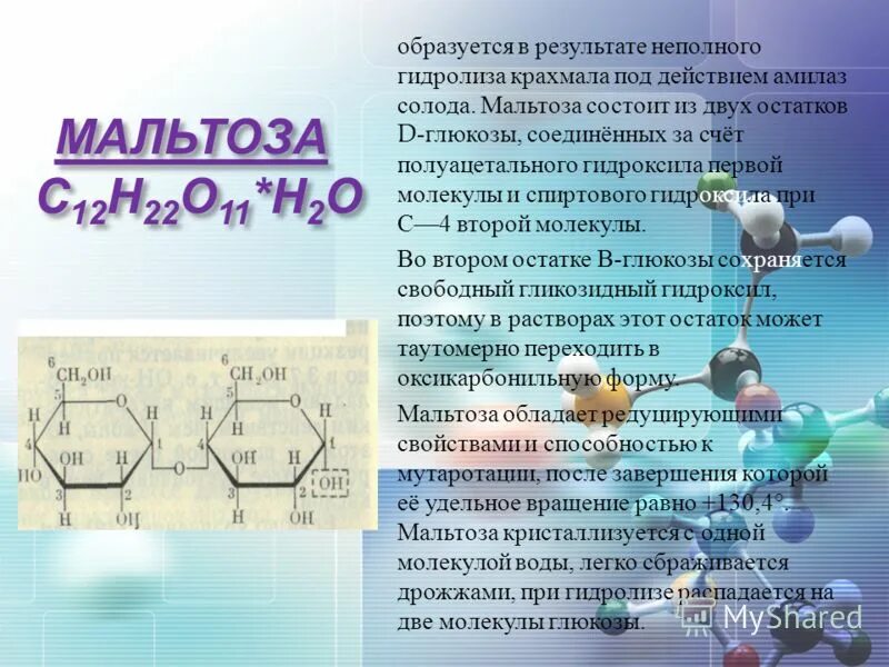 Продукты распада воды. В результате гидролиза крахмала образуется. Гидролиз мальтозы.