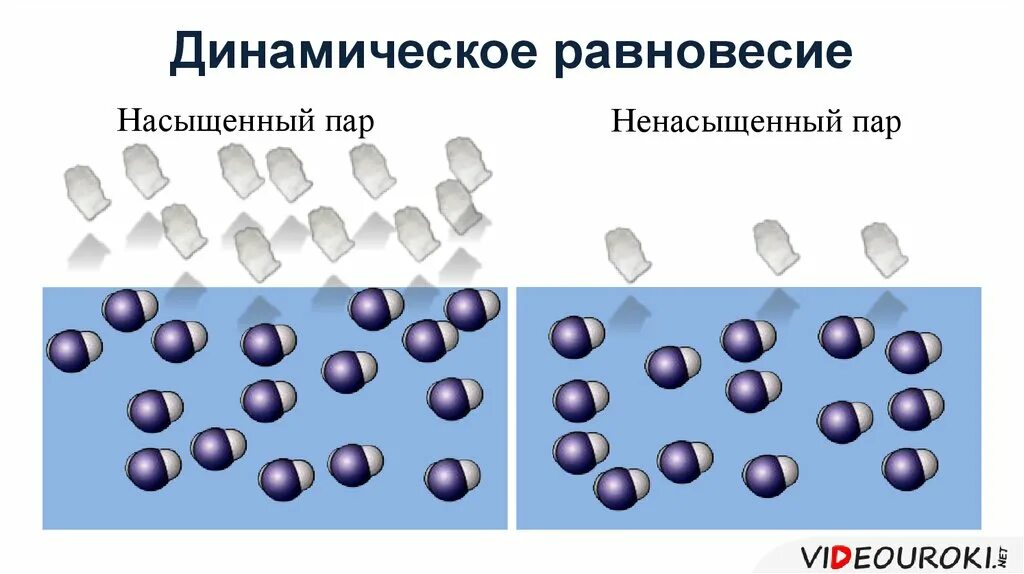 Динамическое равновесие со своей жидкостью. Динамическое равновесие. Динамическон равновесия. Динамическое равновесие насыщенный пар. Динамическое равновесие между паром и жидкостью.