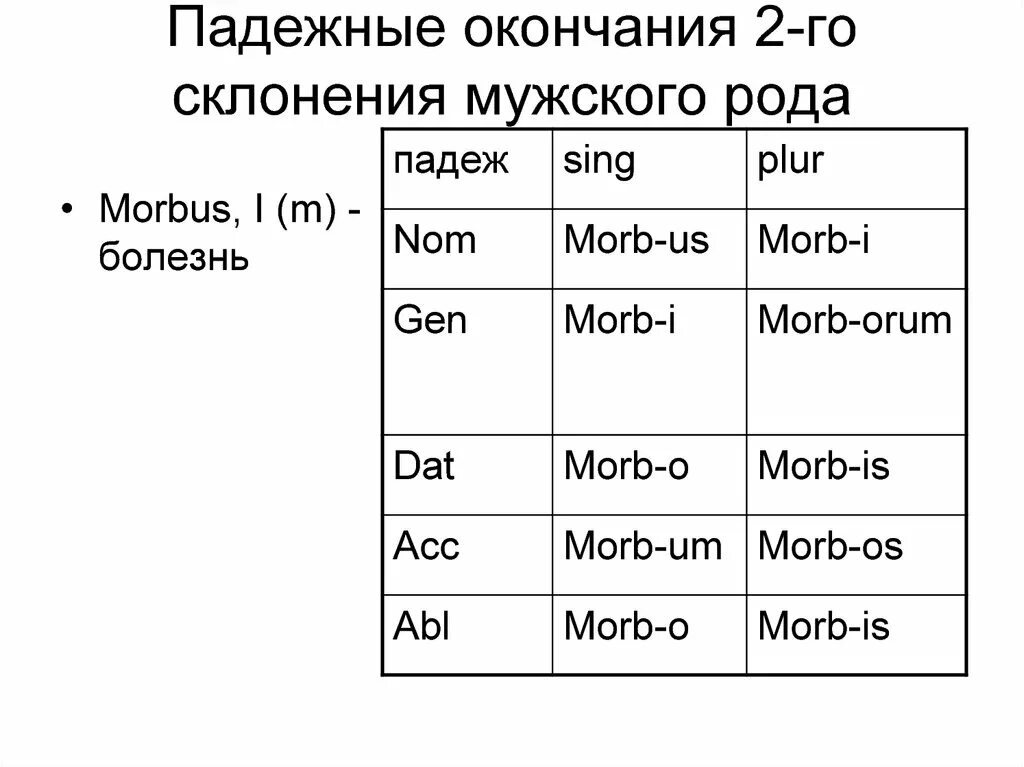 Мужской род первое склонение. Падежные окончания в латинском языке 2 склонения. Второе склонение имен существительных в латинском языке. Падежные окончания существительных 2 склонения в латинском языке. Окончания 2 склонения в латинском языке.