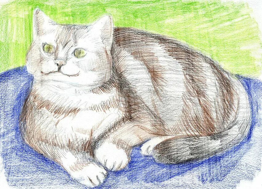 Рисунки котов. Рисование кошки. Кот карандашом. Домашний питомец рисунок. Животное рисунок 7 класс