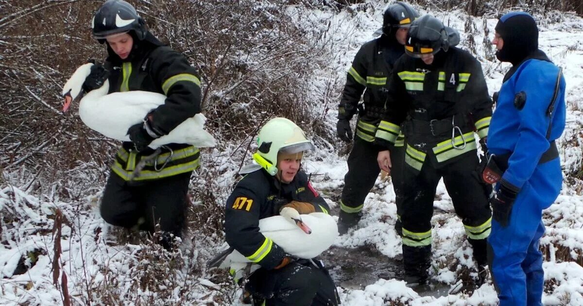 Спасения людей мчс. МЧС РФ спасение людей бедствия. МЧС спасает.