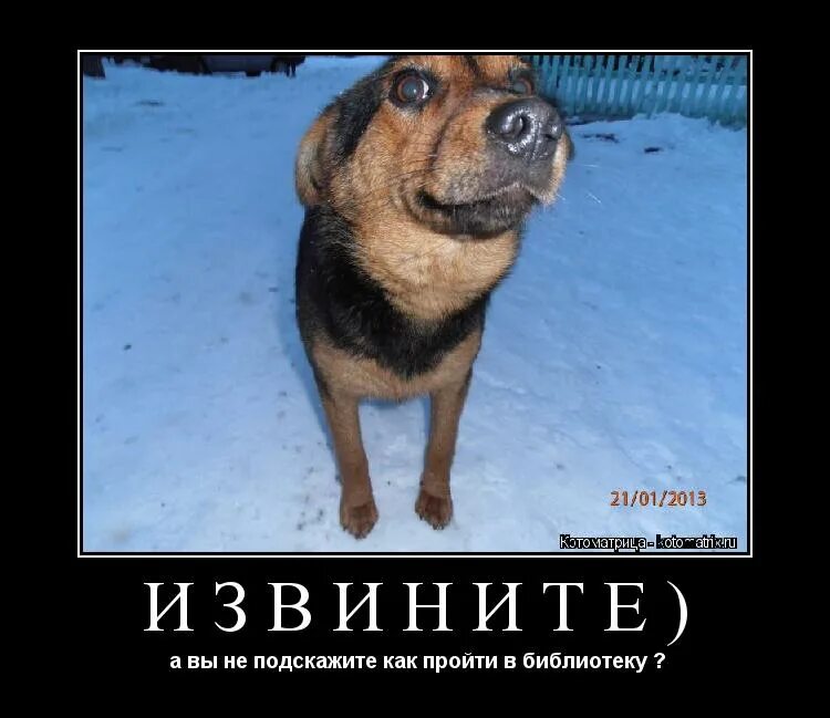 С прошедшим днём рождения. С опозданием поздравляю с днем рождения. С днём рождения прости что с опозданием. С прощедшим днём рождения. Извинить прошедший.