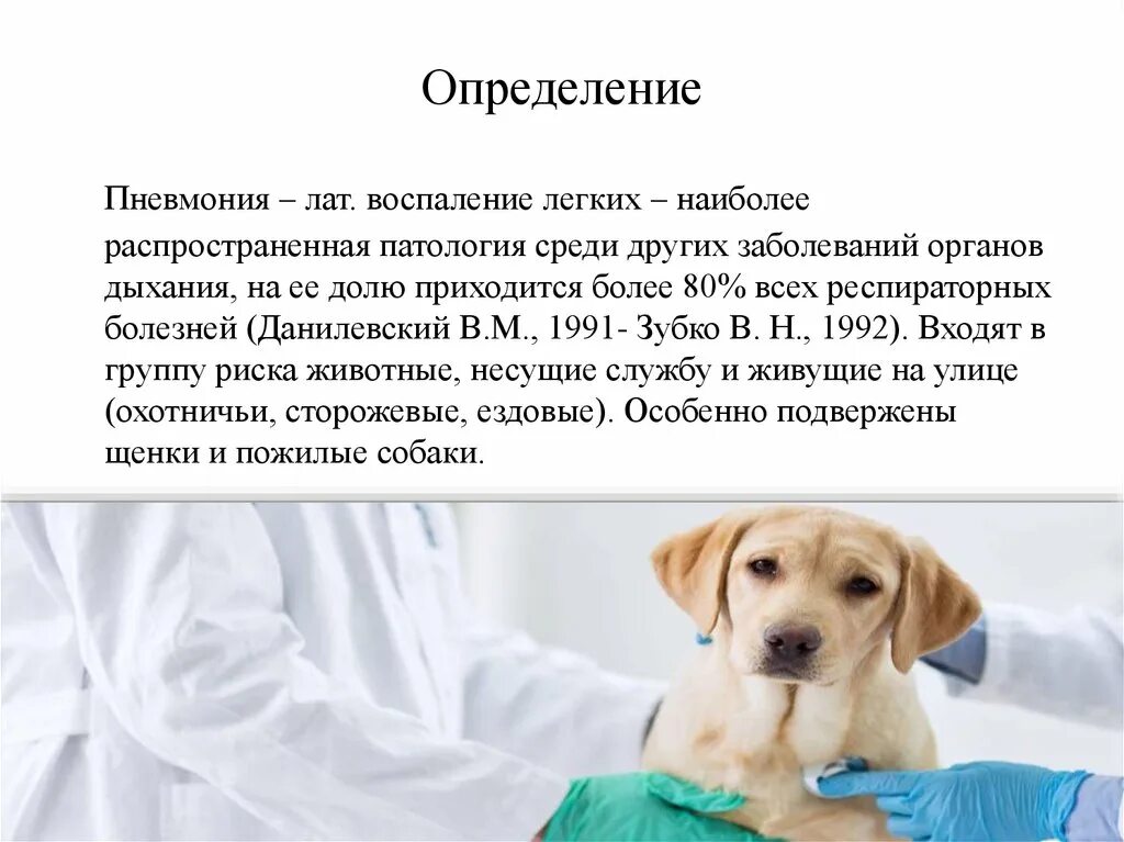 Болезни легких собак. Оксигенотерапия для животных. Болезни легких собак. Болезни сосудов у собак. Собака кашляет причины.